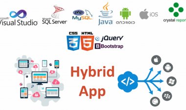 Custom Software Development Services