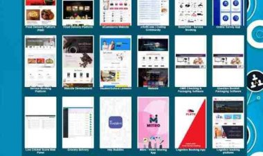 How to Create a Professional Portfolio ?