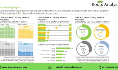 DNA and Gene Cloning Services market Analysis and Trends by 2022-2035
