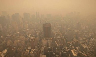 Climate Change Makes Wildfires and Smoke Worse, Study Finds