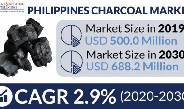 Philippines Charcoal Market Analysis by Trends, Size, Share, Growth Opportunities, and Emerging Technologies
