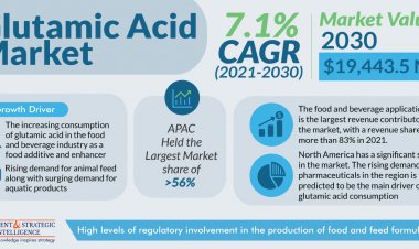 Glutamic Acid Market Analysis by Trends, Size, Share, Growth Opportunities, and Emerging Technologies