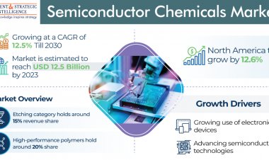 Semiconductor Chemicals Market Navigating Innovation in Electronics