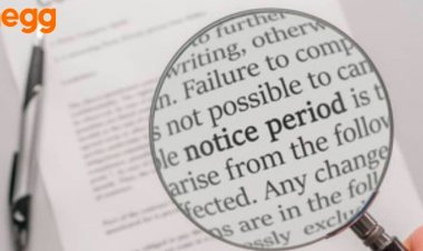 Smooth Sailing Through Transitions: Mastering Your Notice Period with This In-Depth Guide