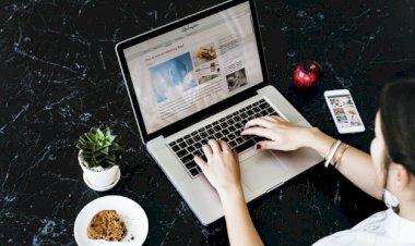 Write Articles Free